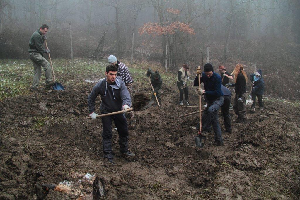 Volontanfibi 2013: grossi sassi piatti!